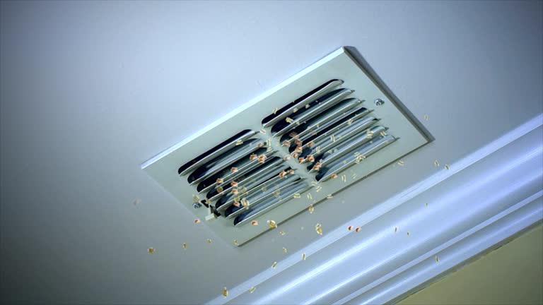 Reliable Pimlico, SC Airduct Cleaning Solutions