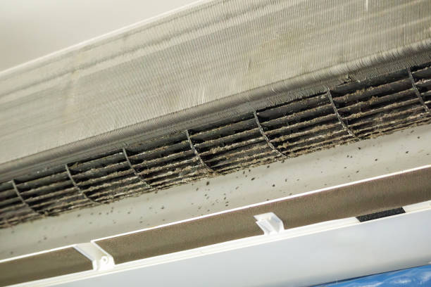  Pimlico, SC Airduct Cleaning Pros
